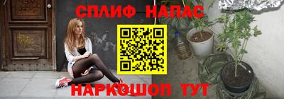 гидра Кимры