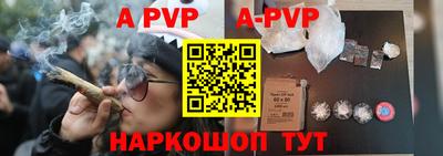 прущие крисы Кингисепп