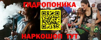 прущие крисы Кингисепп