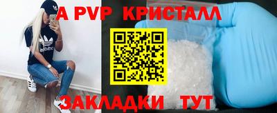прущие крисы Кингисепп