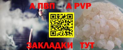 прущие крисы Кингисепп