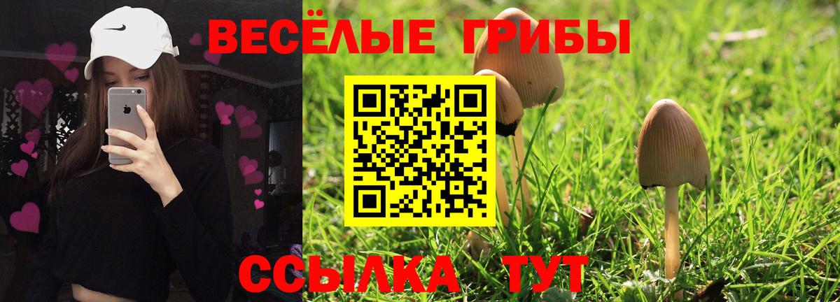 Псилоцибиновые грибы Cubensis  Вход с VPN  Лангепас 